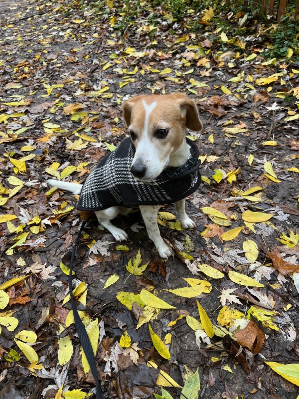 Testimonial for Penny